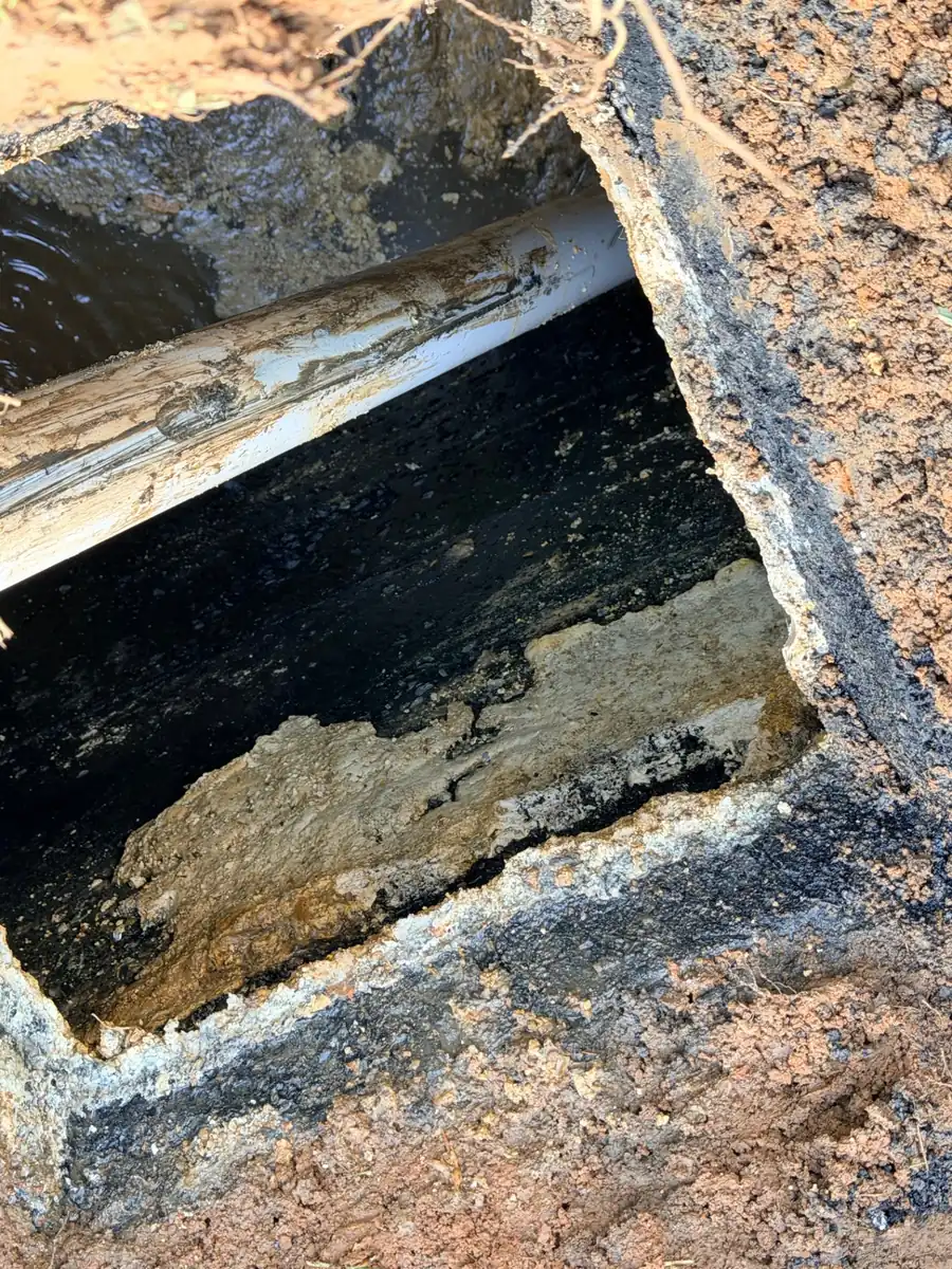 Thick cooking grease built up on a septic tank wall, found during a pumping in Cleveland County, NC